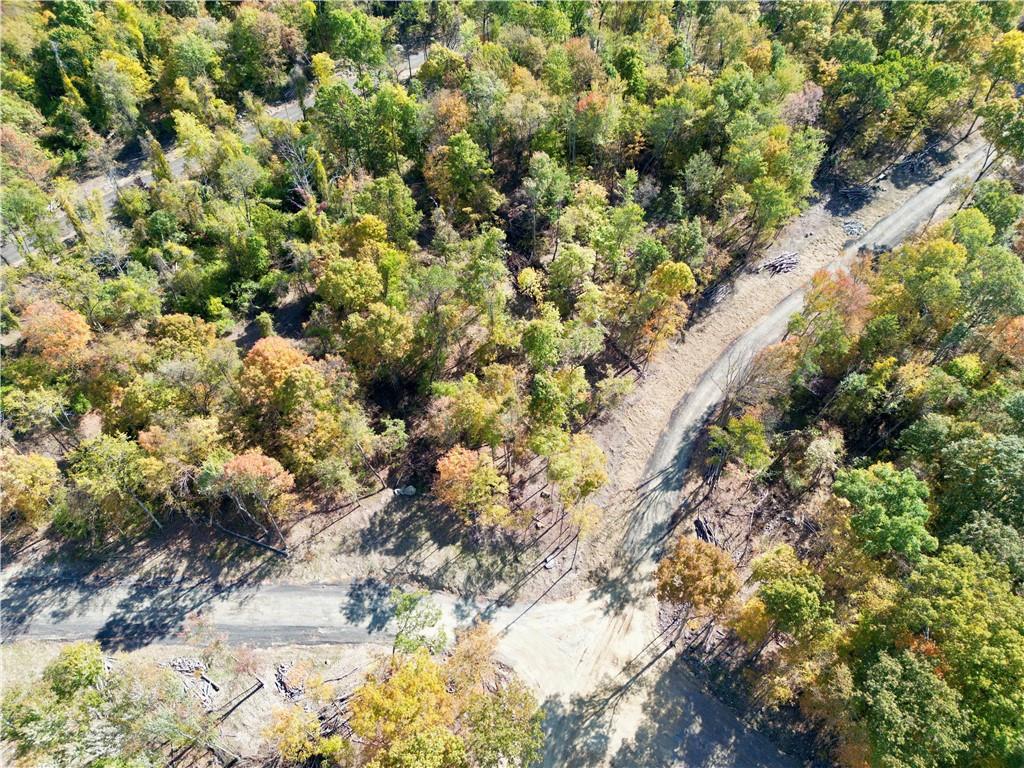 14 Tamarack Drive Newburgh, NY 12550 - Photo 16 of 20 a view of a tree