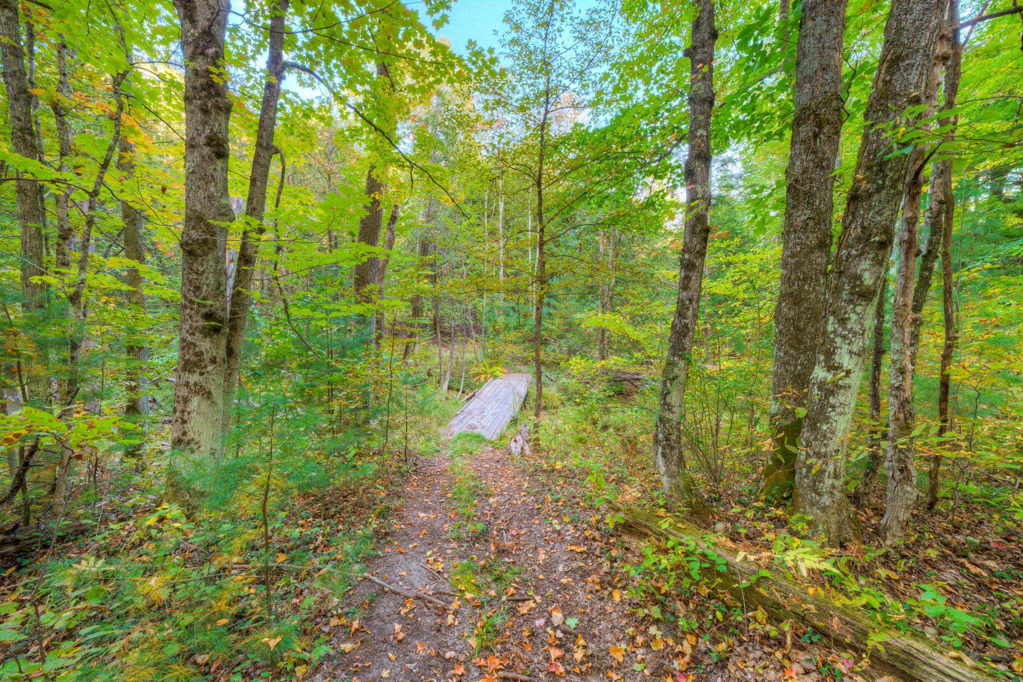 755 North Carmean Road Interlochen, MI 49643 - Photo 56 of 65