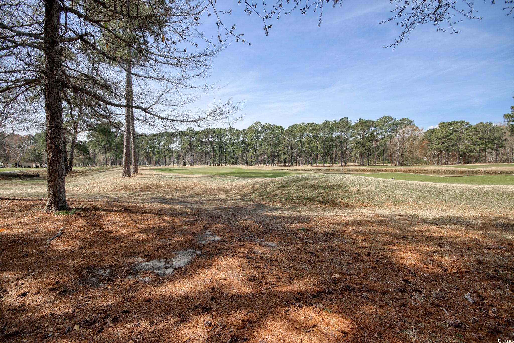 9511 Indigo Club Drive Murrells Inlet, SC 29576 - Photo 36 of 39 Gallery Image 36
