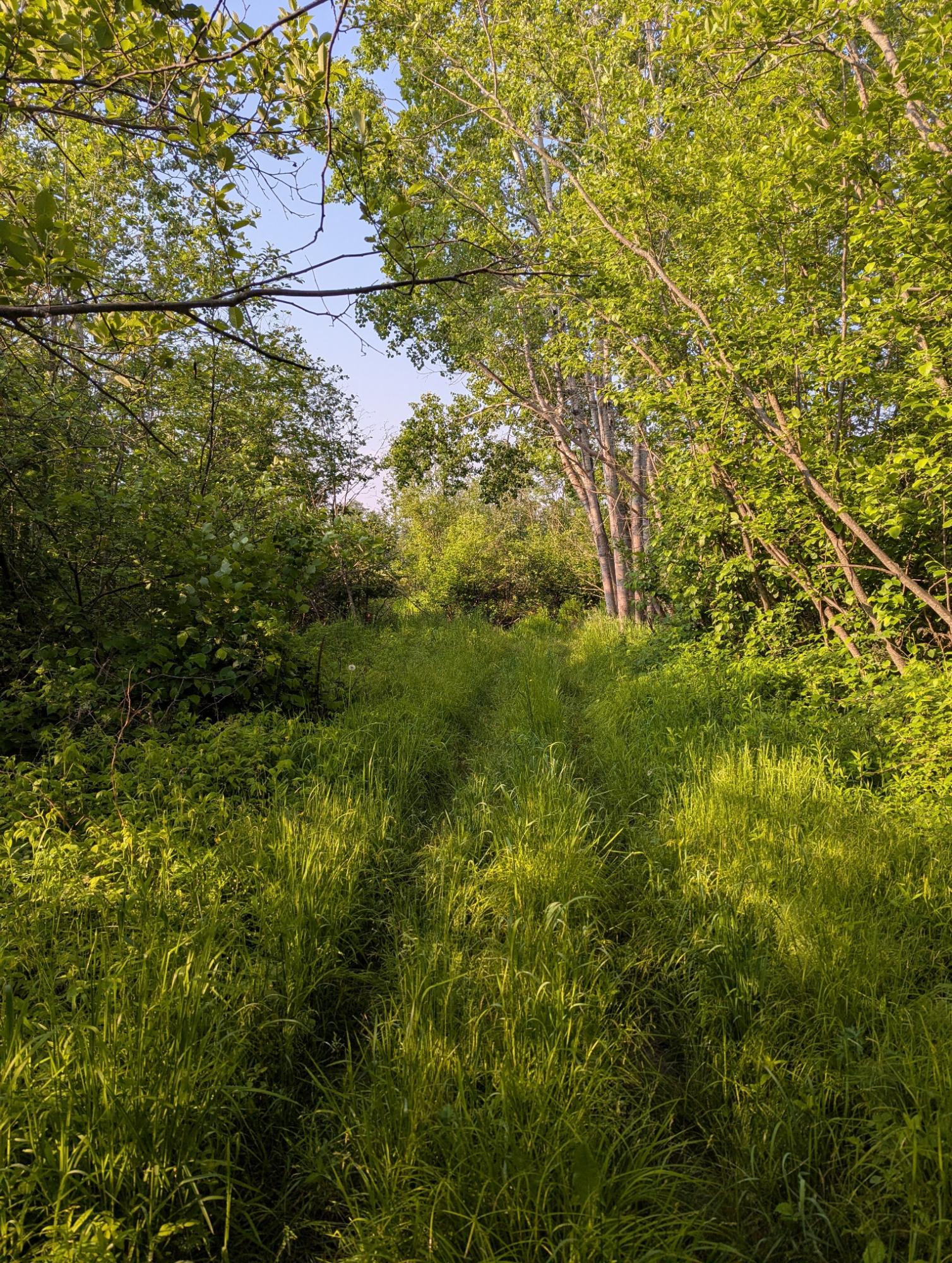 W181 Midway Road Hawkins, WI 54530 - Photo 6 of 56 Gallery Image 6