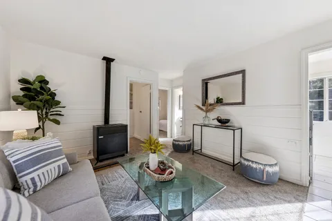 a living room with furniture and a potted plant