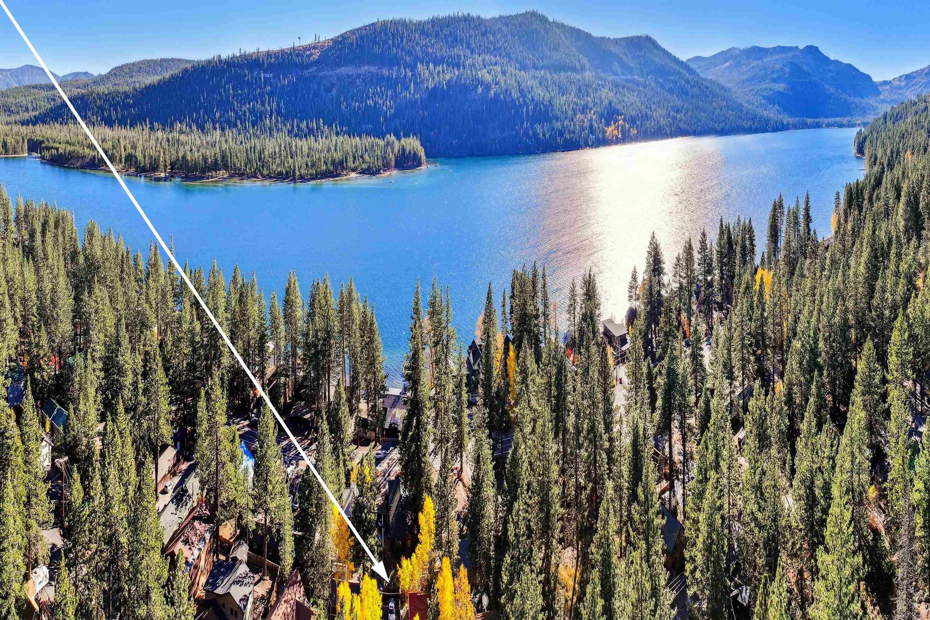 13607 Moraine Road Truckee, CA 96161 - Photo 28 of 28 a view of a backyard with a garden