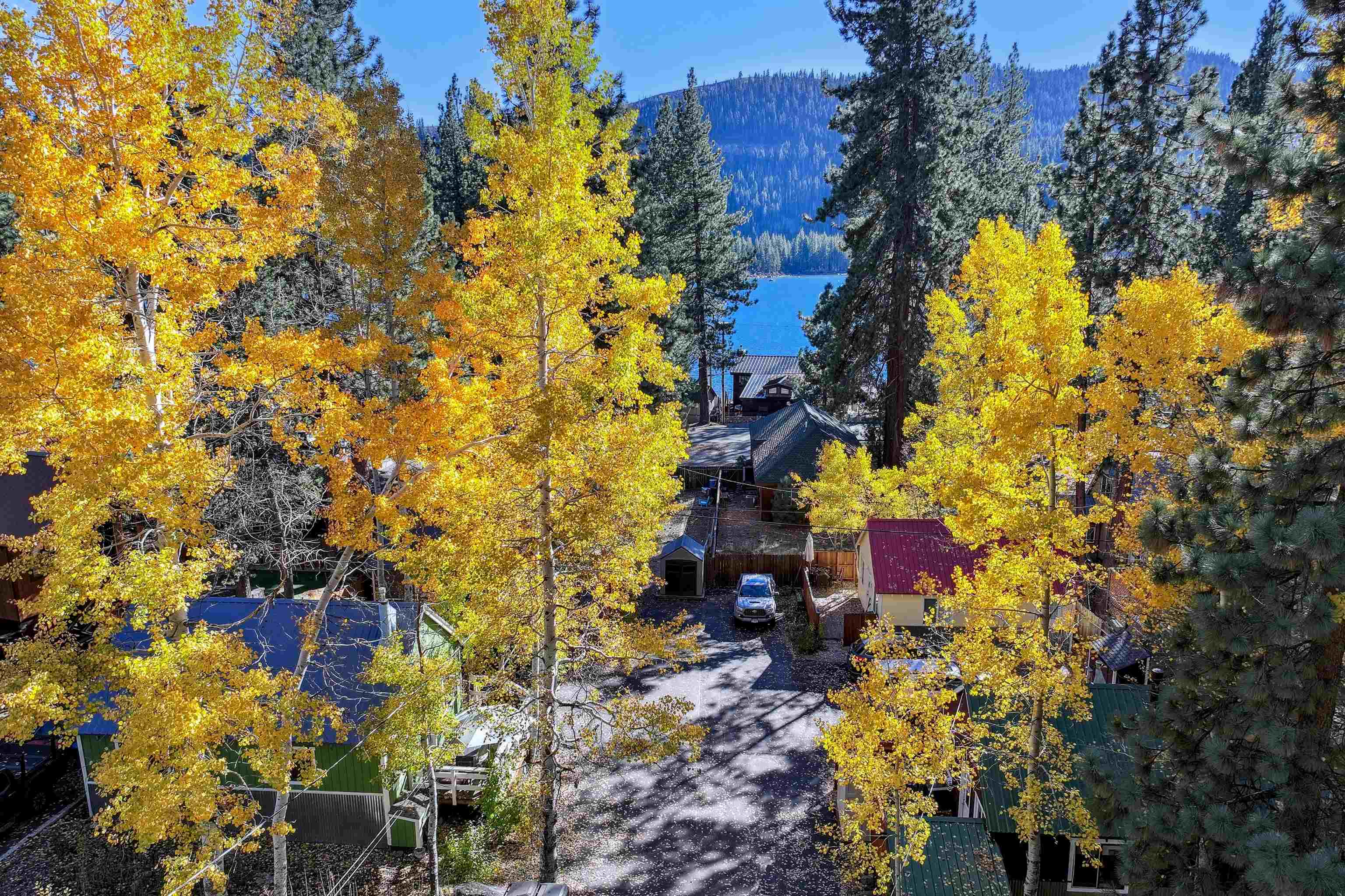 13607 Moraine Road Truckee, CA 96161 - Photo 4 of 28 a view of a flowers in a garden