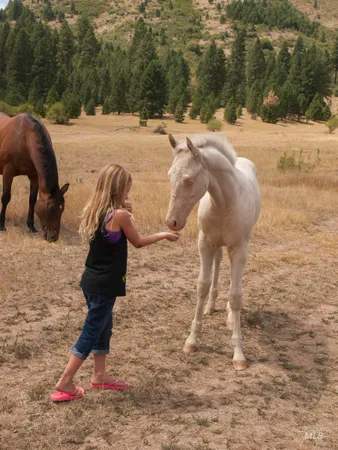 $100,000 | 7 Blk, Garden Valley, ID 83622