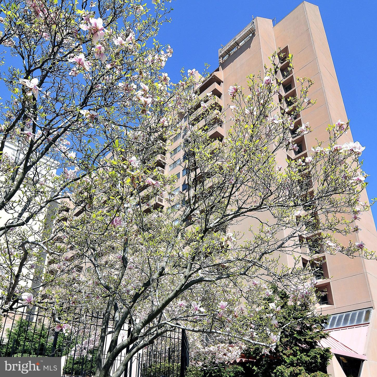 1301 North Courthouse Road, Unit 616 Arlington, VA 22201 - Photo 15 of 30 Contemporary Elegance