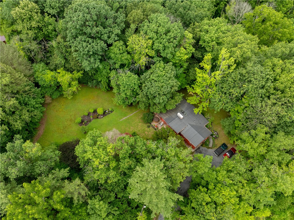 2976 Highway 89 Seneca Falls, NY 13148 - Photo 42 of 44