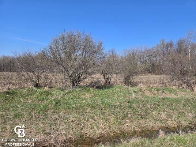 1182 Fetting Road Carsonville, MI 48419 - Photo 12 of 18