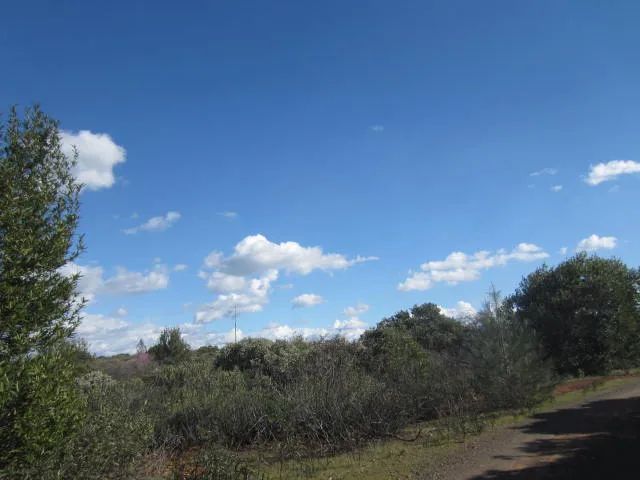 0 Sky Chico, CA 95928 - Photo 6 of 7
