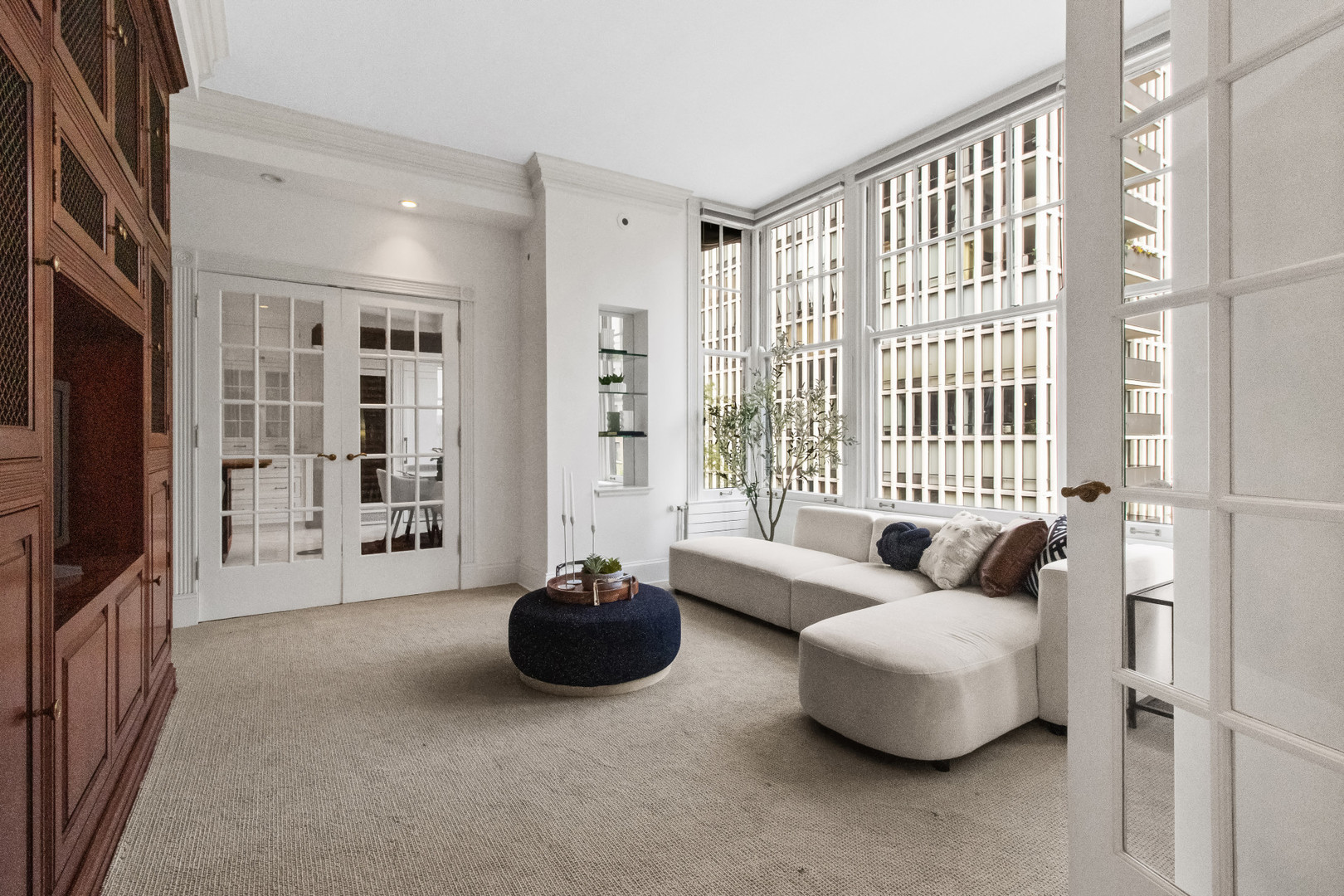 223 East Delaware Place, Unit 5W Chicago, IL 60611 - Photo 6 of 23