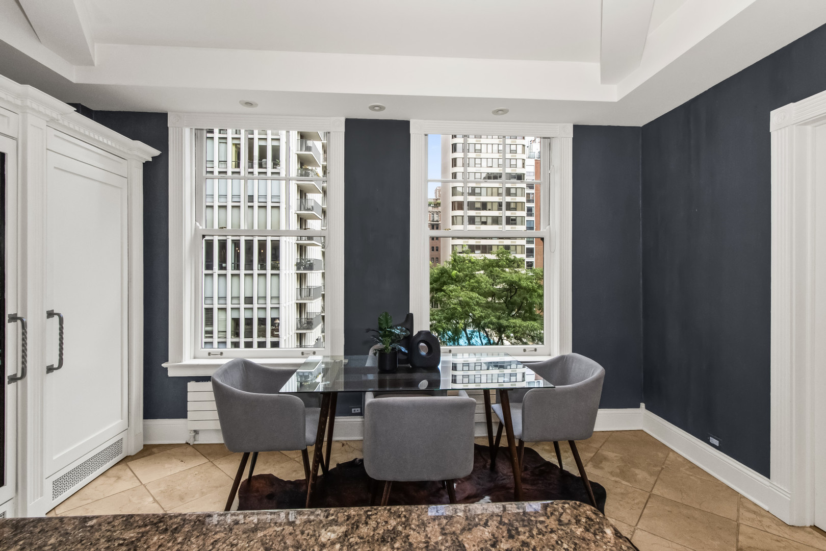 223 East Delaware Place, Unit 5W Chicago, IL 60611 - Photo 9 of 23