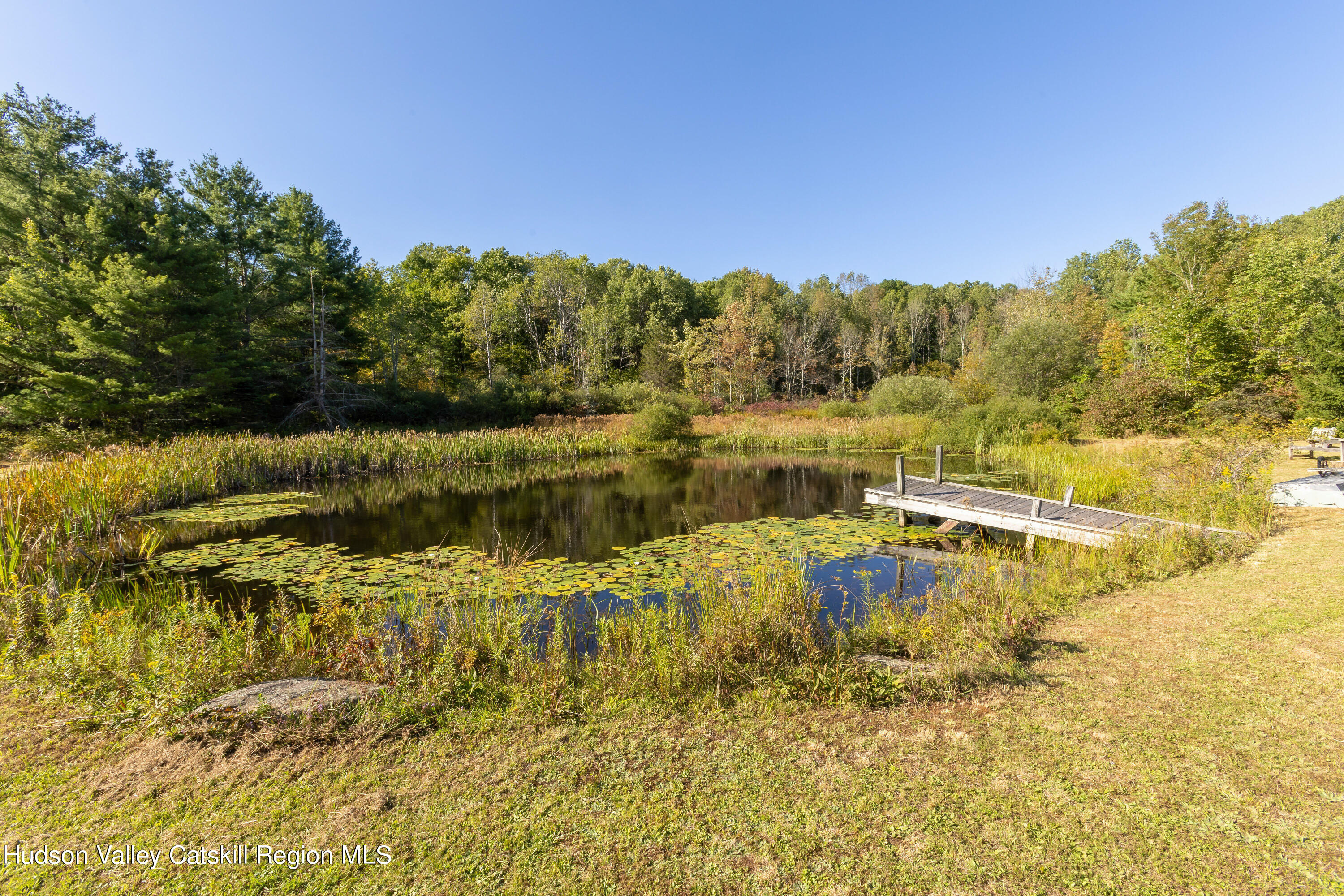 817 Scott Greene Road Roxbury, NY 12474 - Photo 2 of 48 817-scott-rd-rox_0122