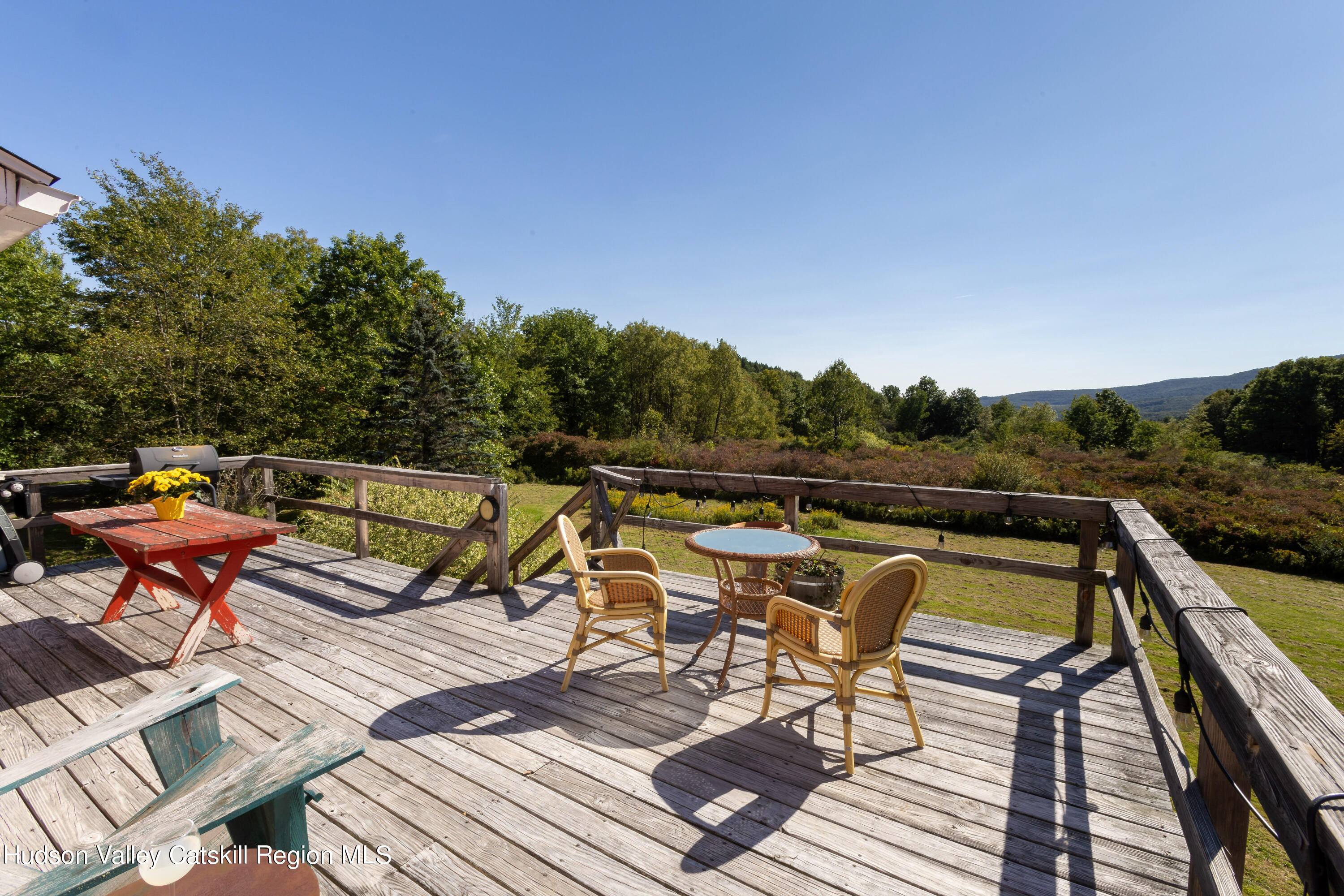 817 Scott Greene Road Roxbury, NY 12474 - Photo 38 of 48 817-scott-rd-rox_0108