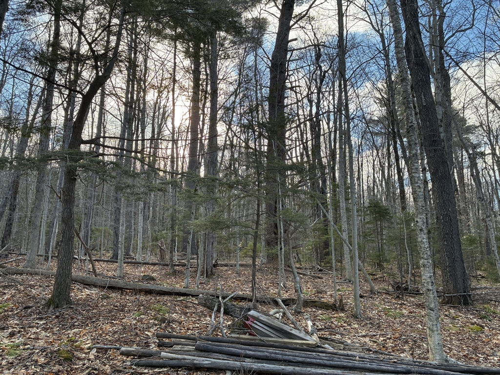 5 Leshures Road Rowe, MA 01367 - Photo 11 of 12