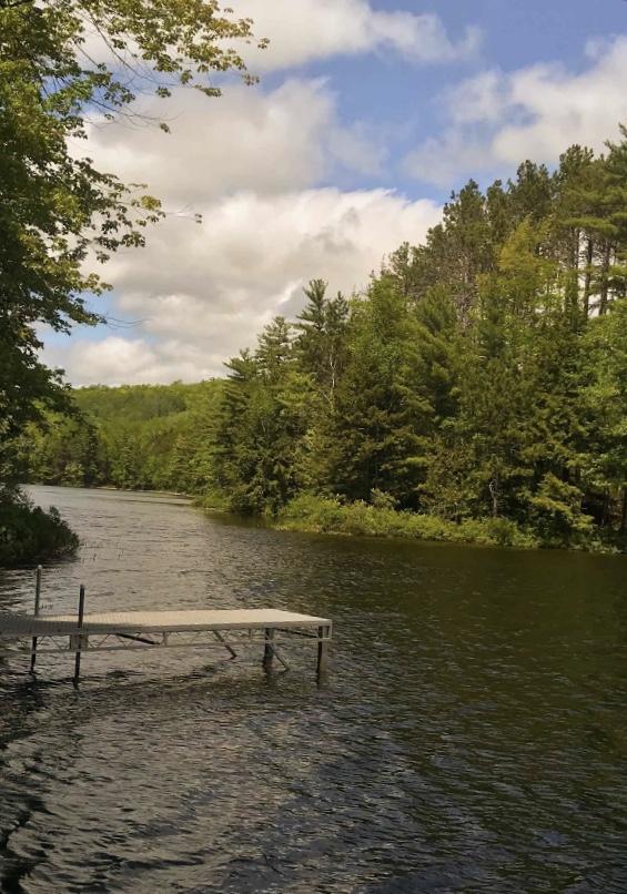 630 Springy Pond Road Ellsworth, ME 04605 - Photo 9 of 27 IMG_1216