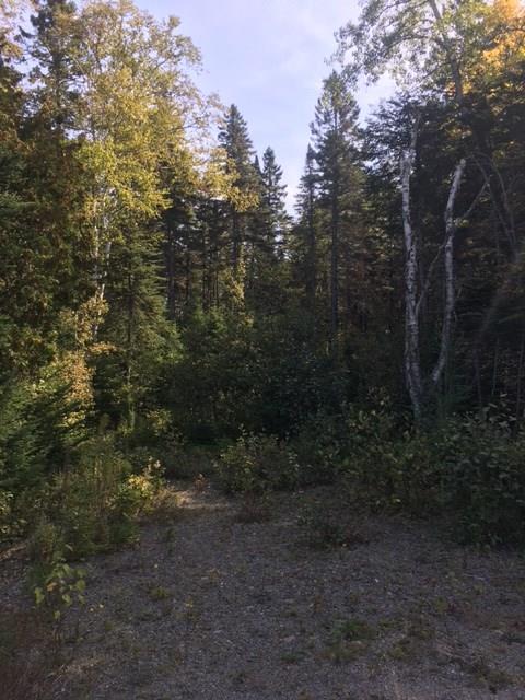 65A Dallas Hill Road Dallas Plt, ME 04970 - Photo 14 of 15 Photo