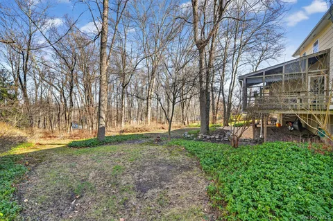 a view of backyard with table and chairs and potted plants