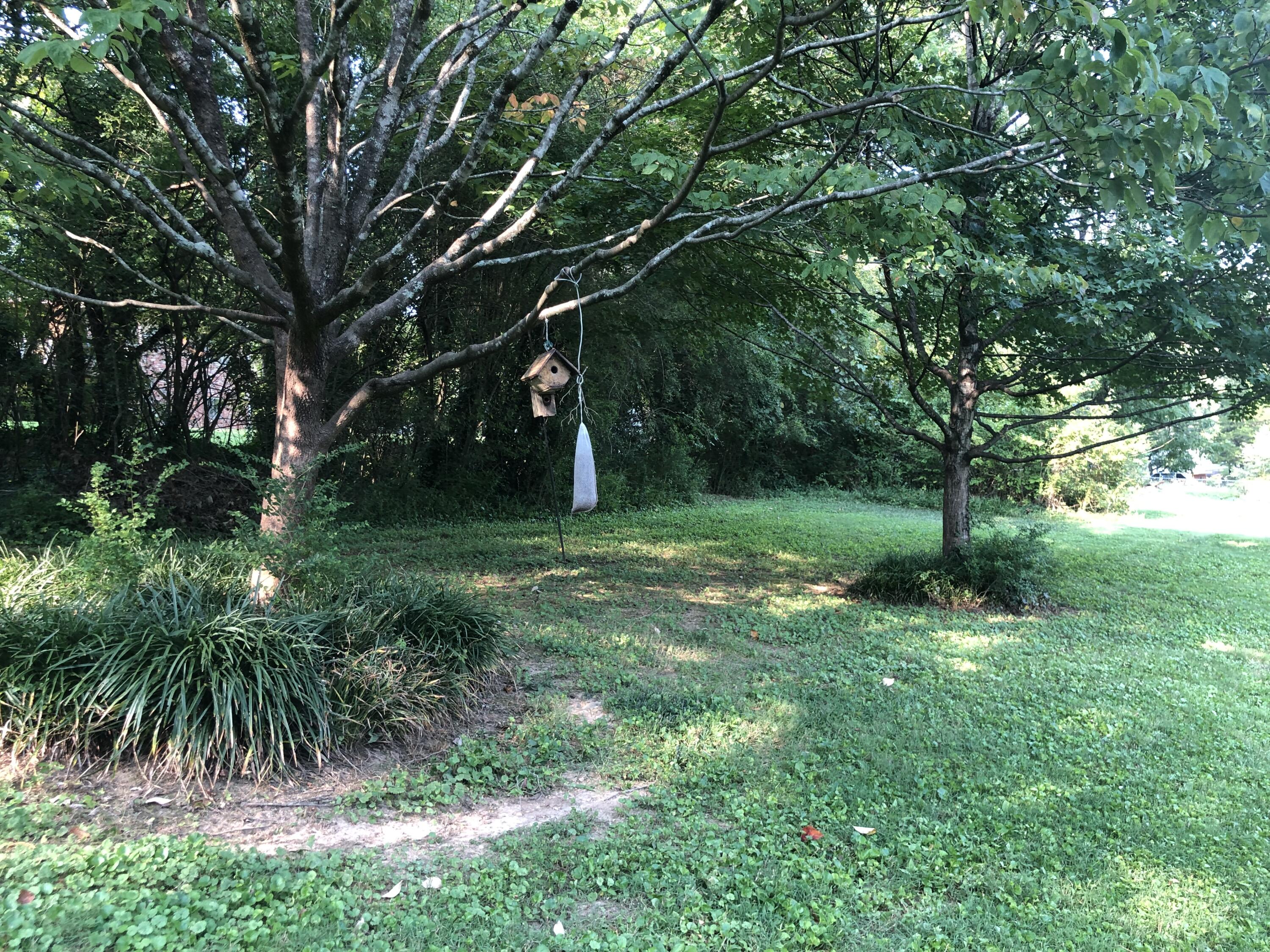 103 Miramar Circle Oak Ridge, TN 37830 - Photo 20 of 23 IMG_5222