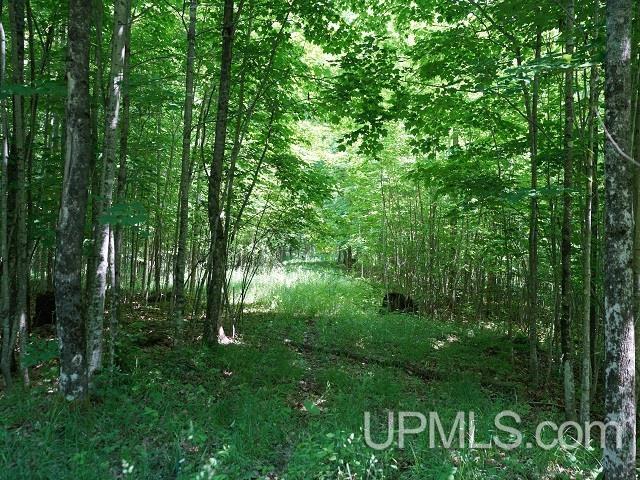 19110 West Diller Road Germfask, MI 49836 - Photo 16 of 28