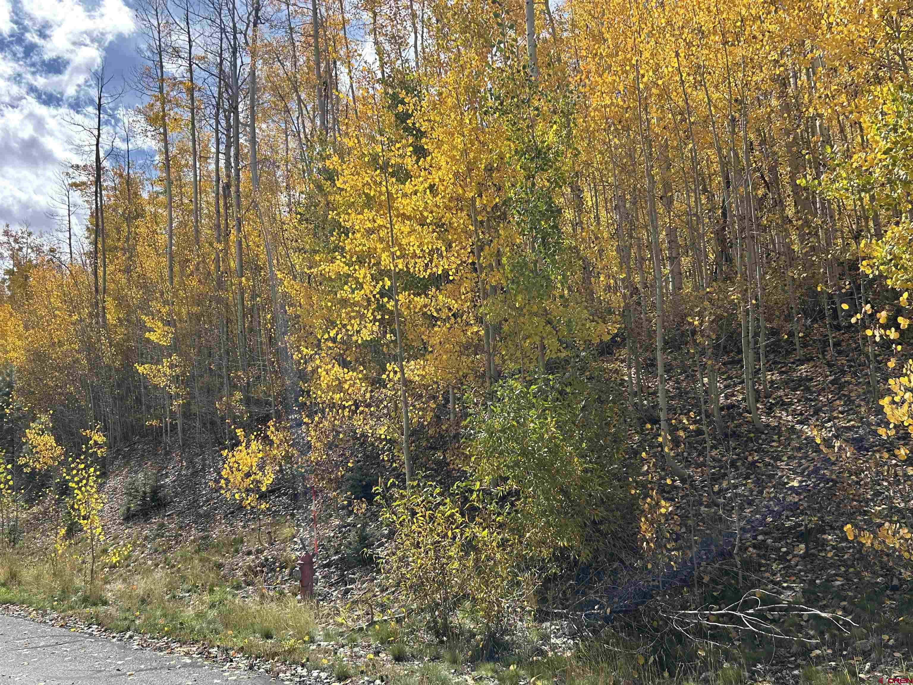 117 Long Story Road Durango, CO 81301 - Photo 2 of 8 a view of a yard