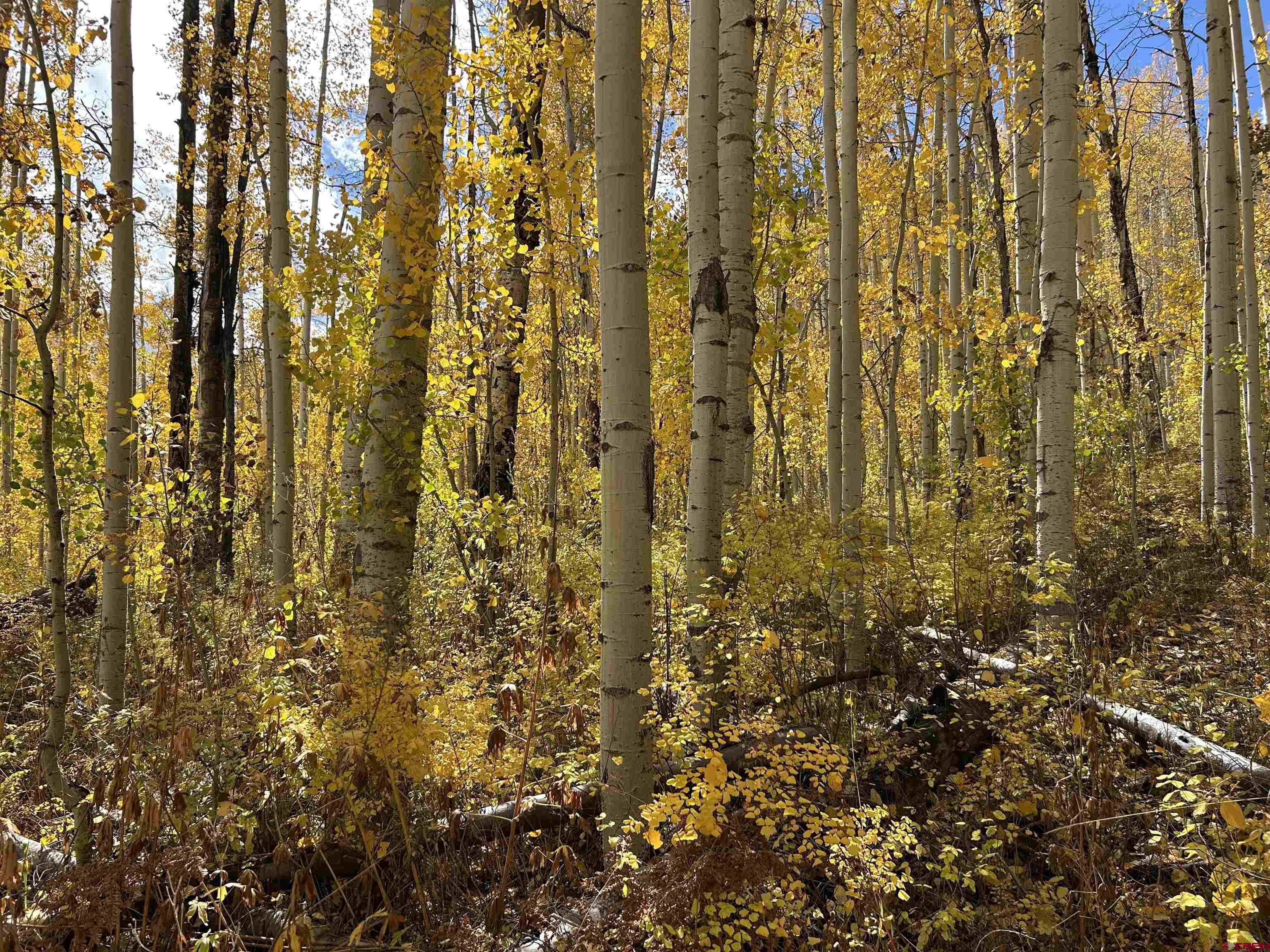 117 Long Story Road Durango, CO 81301 - Photo 3 of 8 a bathroom with a shower curtain