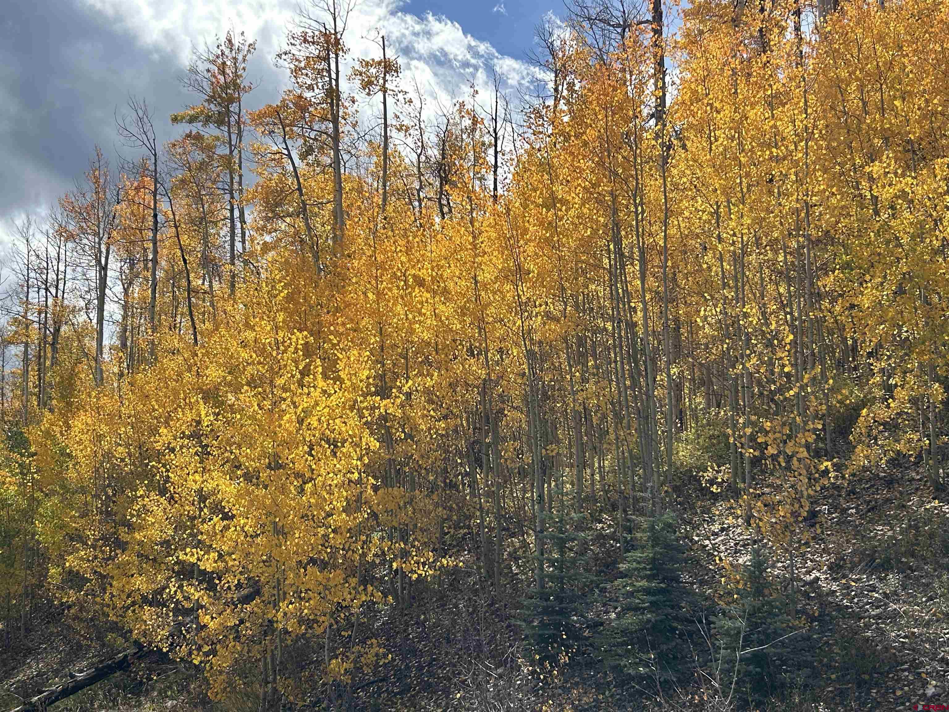 117 Long Story Road Durango, CO 81301 - Photo 4 of 8 a view of residential building
