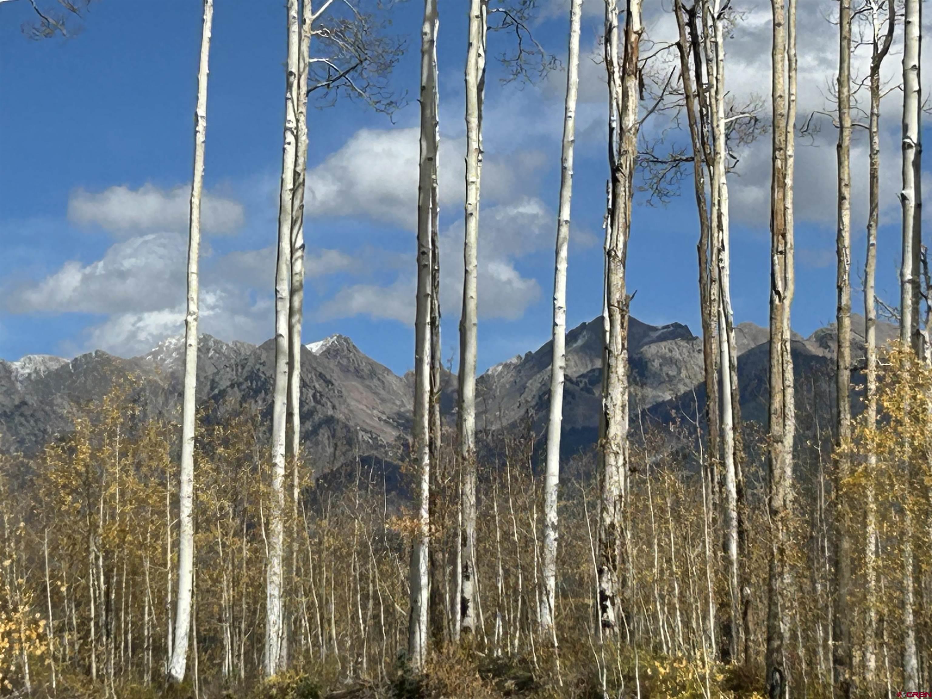 117 Long Story Road Durango, CO 81301 - Photo 5 of 8 a bathroom with a glass shower door