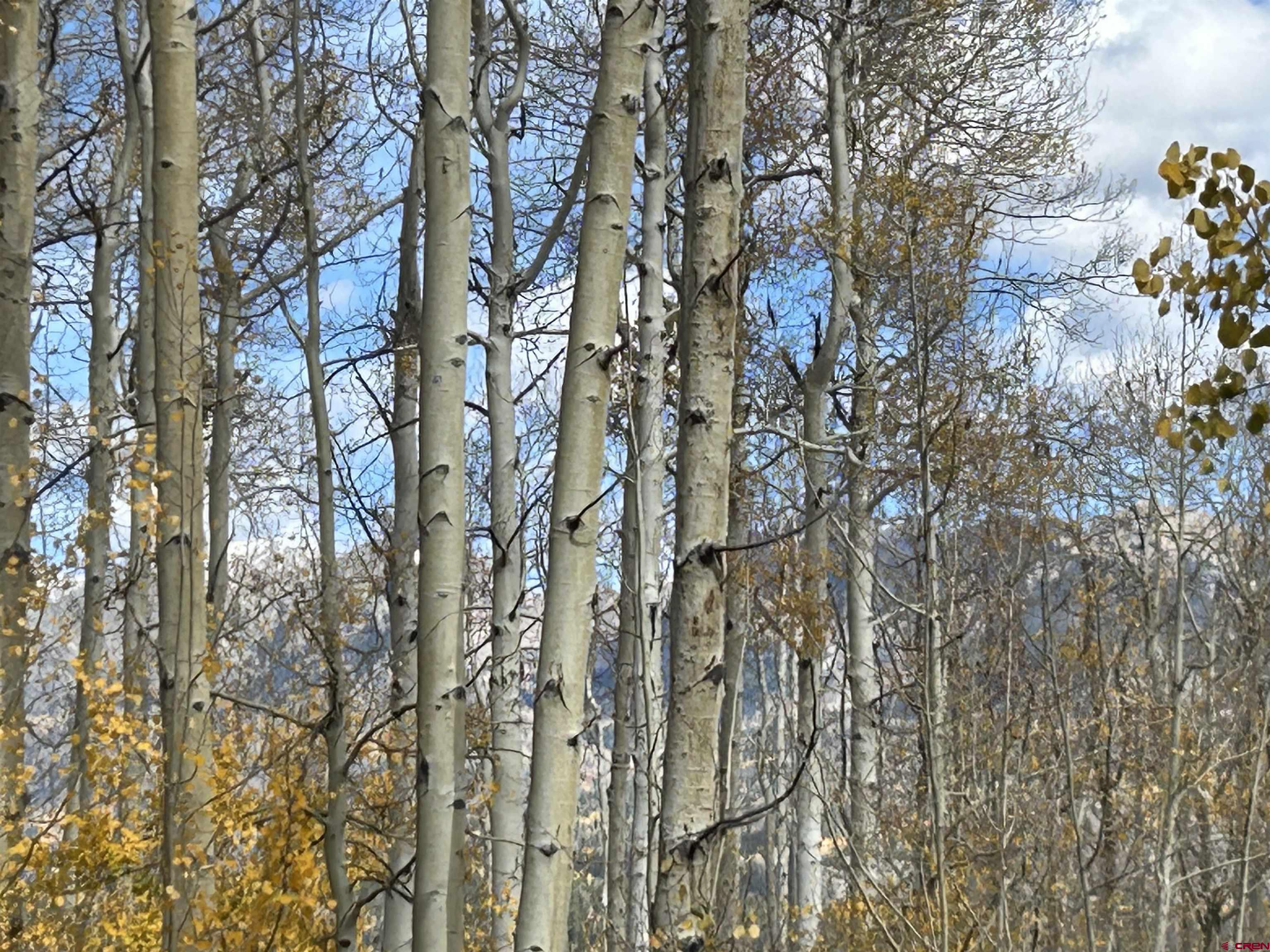 117 Long Story Road Durango, CO 81301 - Photo 7 of 8