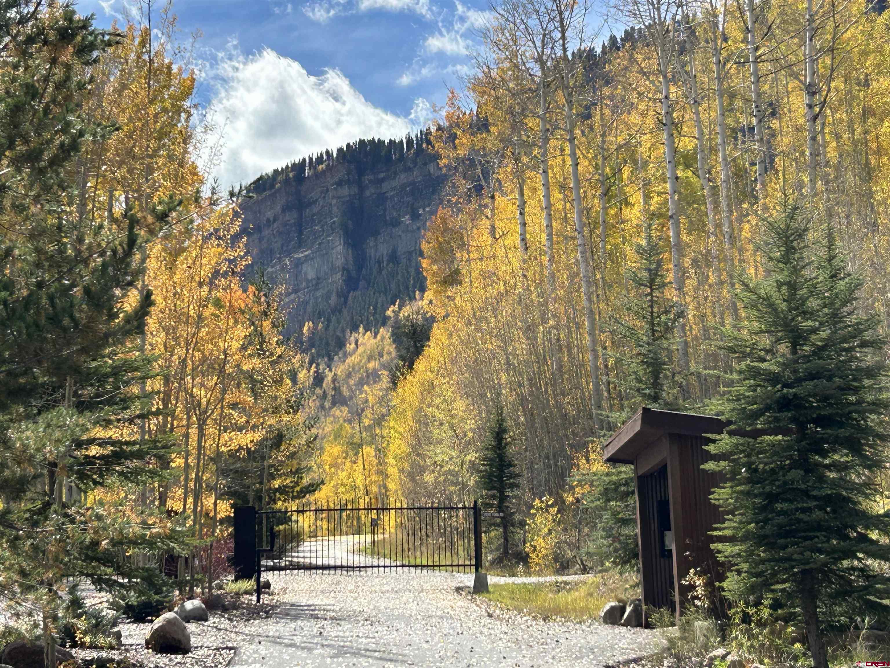 117 Long Story Road Durango, CO 81301 - Photo 8 of 8 a view of a yard with plants and trees