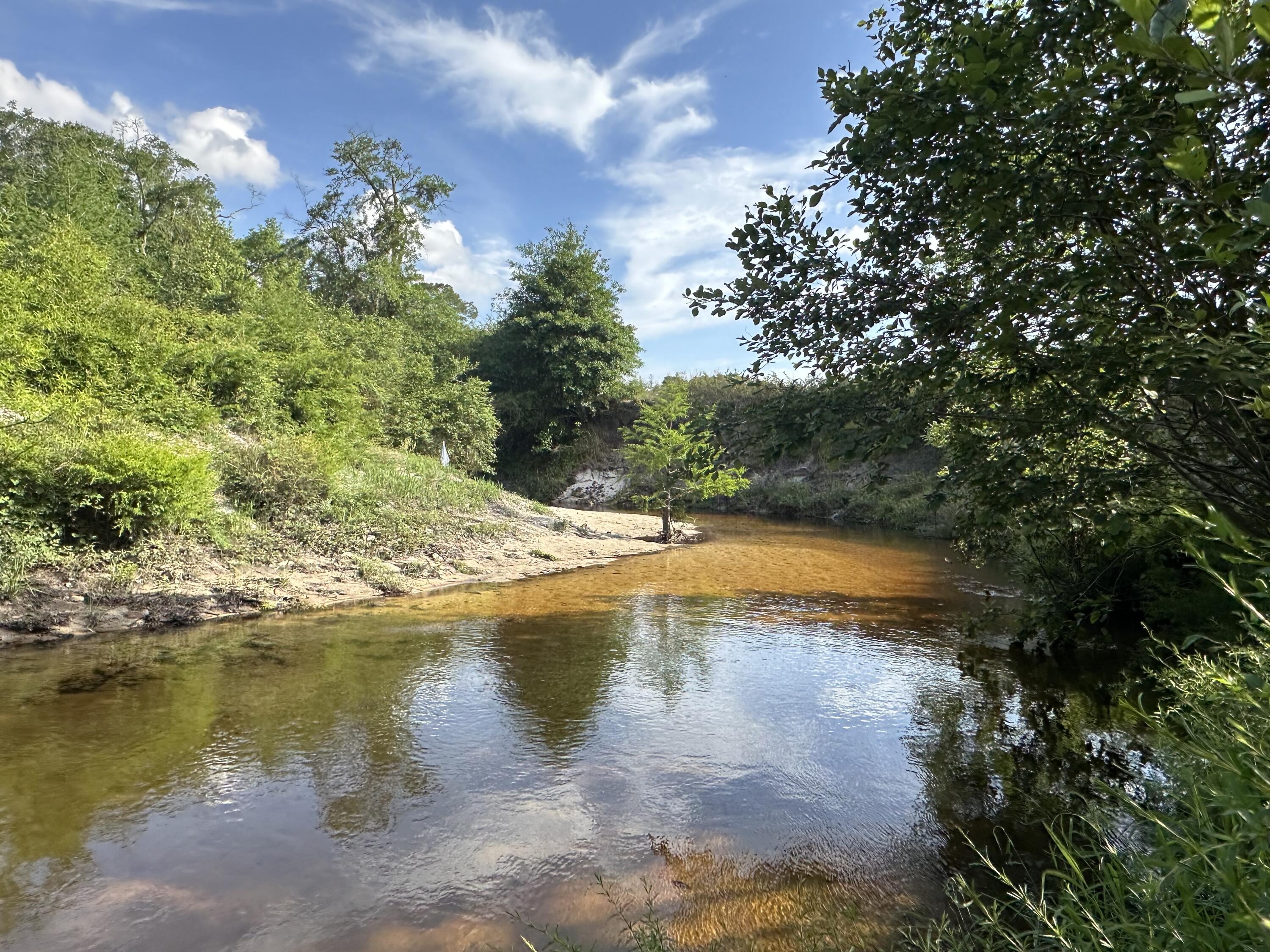 261.6-ac Millside Road Laurel Hill, FL 32567 - Photo 11 of 38 a view of a lake view