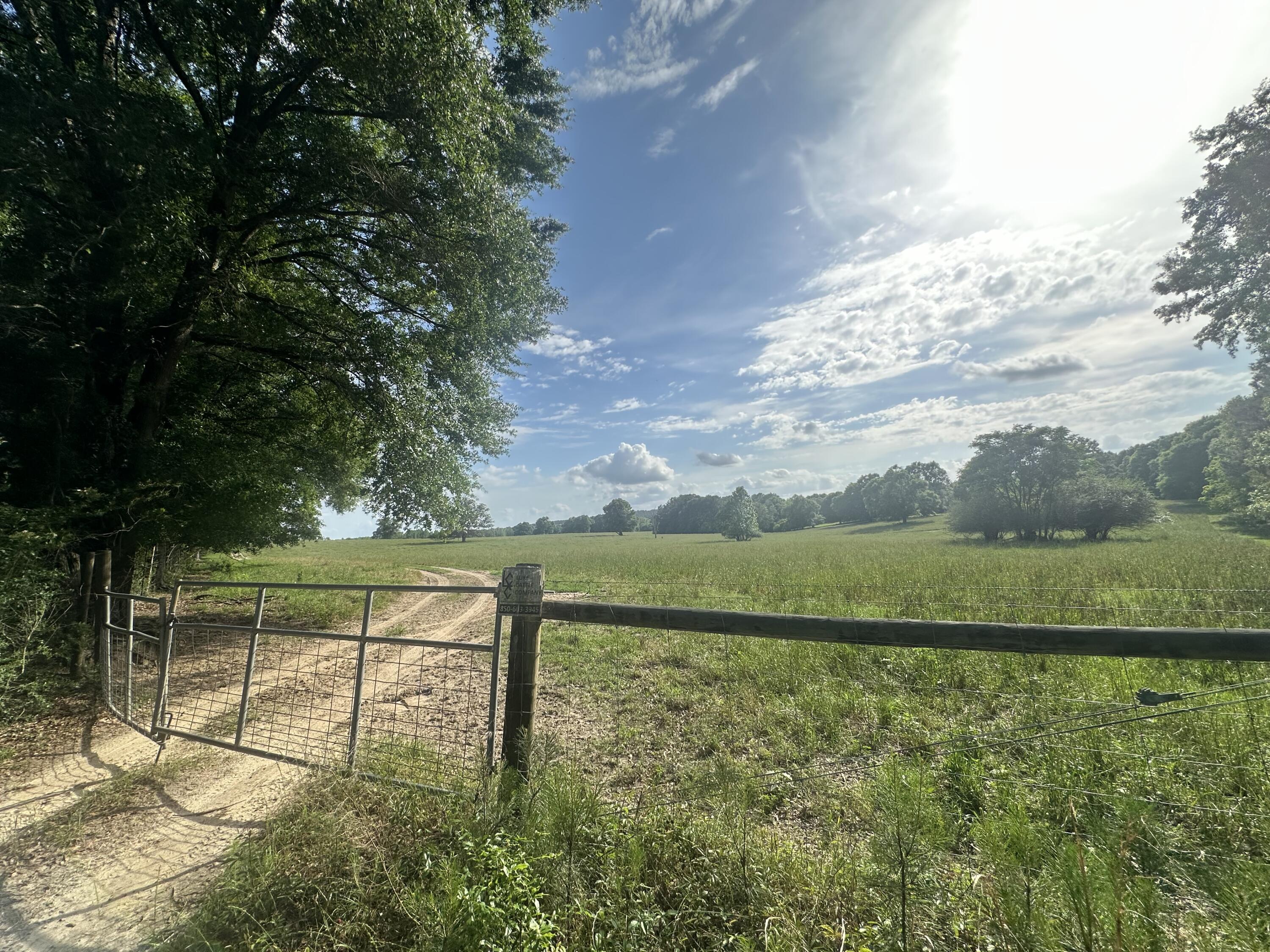 261.6-ac Millside Road Laurel Hill, FL 32567 - Photo 13 of 38 a view of outdoor space and yard