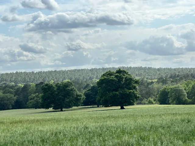 a view of a green field with wooden fence