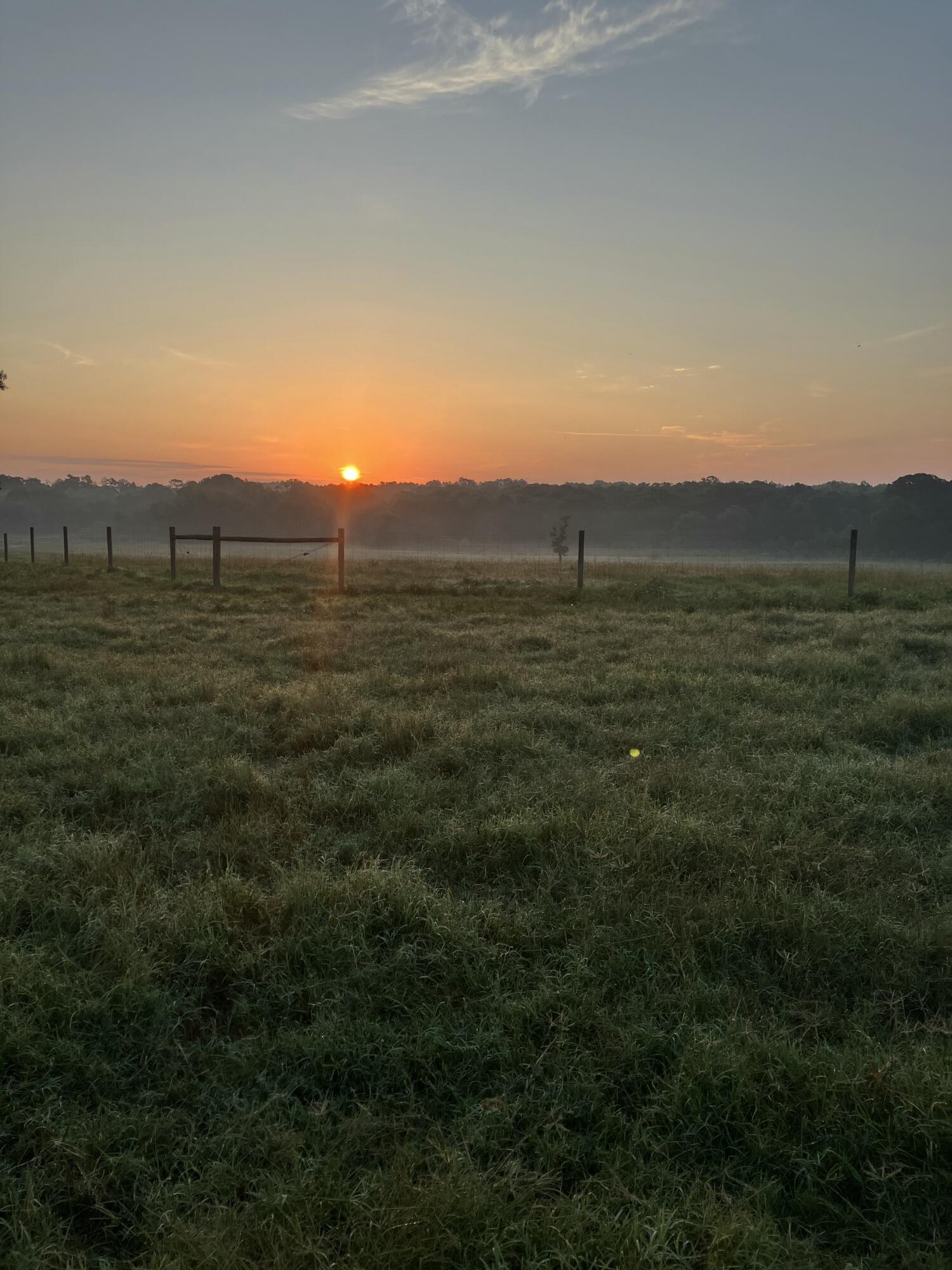 261.6-ac Millside Road Laurel Hill, FL 32567 - Photo 25 of 38 a view of outdoor space and mountain view
