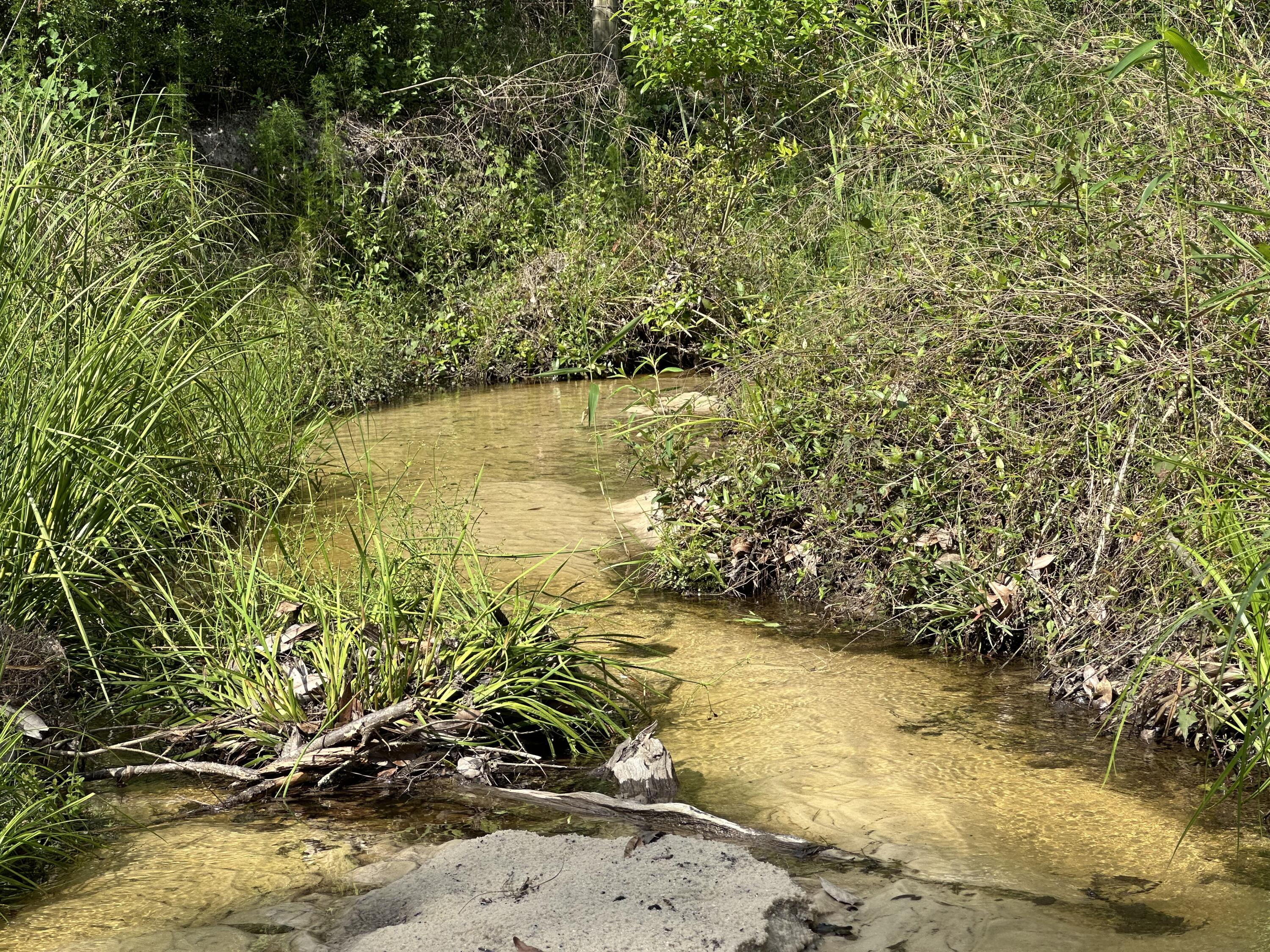 261.6-ac Millside Road Laurel Hill, FL 32567 - Photo 30 of 38 a view of lake