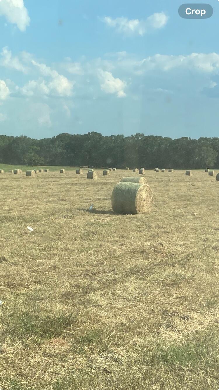 261.6-ac Millside Road Laurel Hill, FL 32567 - Photo 31 of 38 a view of lake