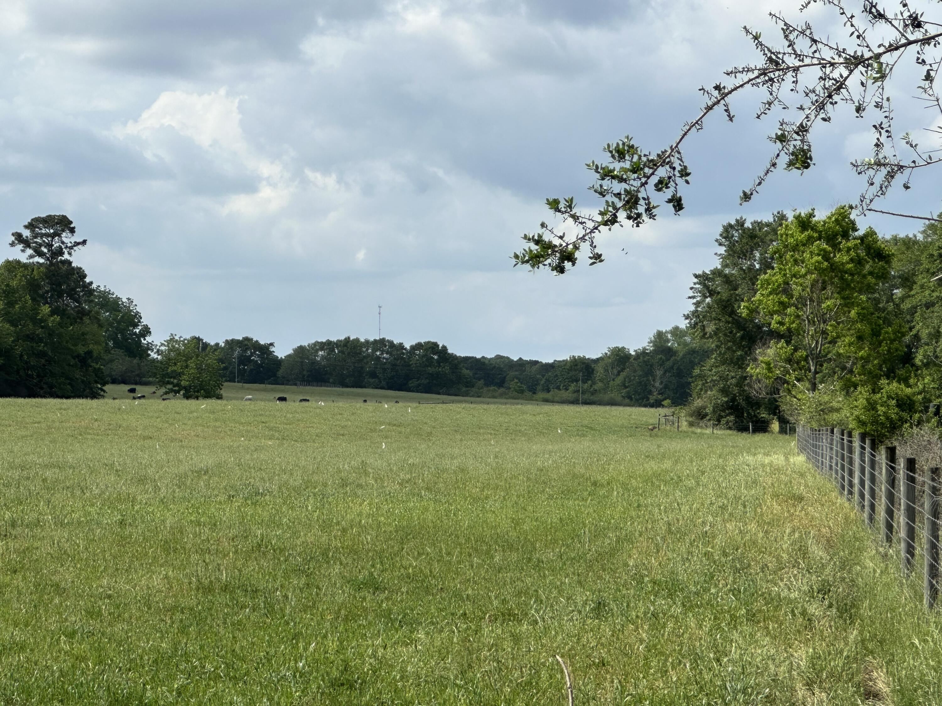 261.6-ac Millside Road Laurel Hill, FL 32567 - Photo 32 of 38