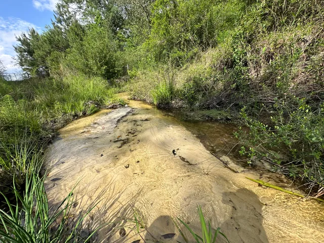 $2,499,000 | 261.6-ac Millside Road, Laurel Hill, FL 32567