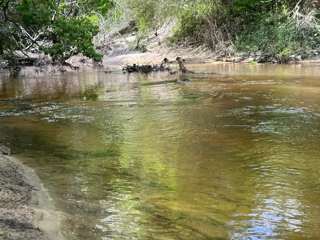 $2,499,000 | 261.6-ac Millside Road, Laurel Hill, FL 32567