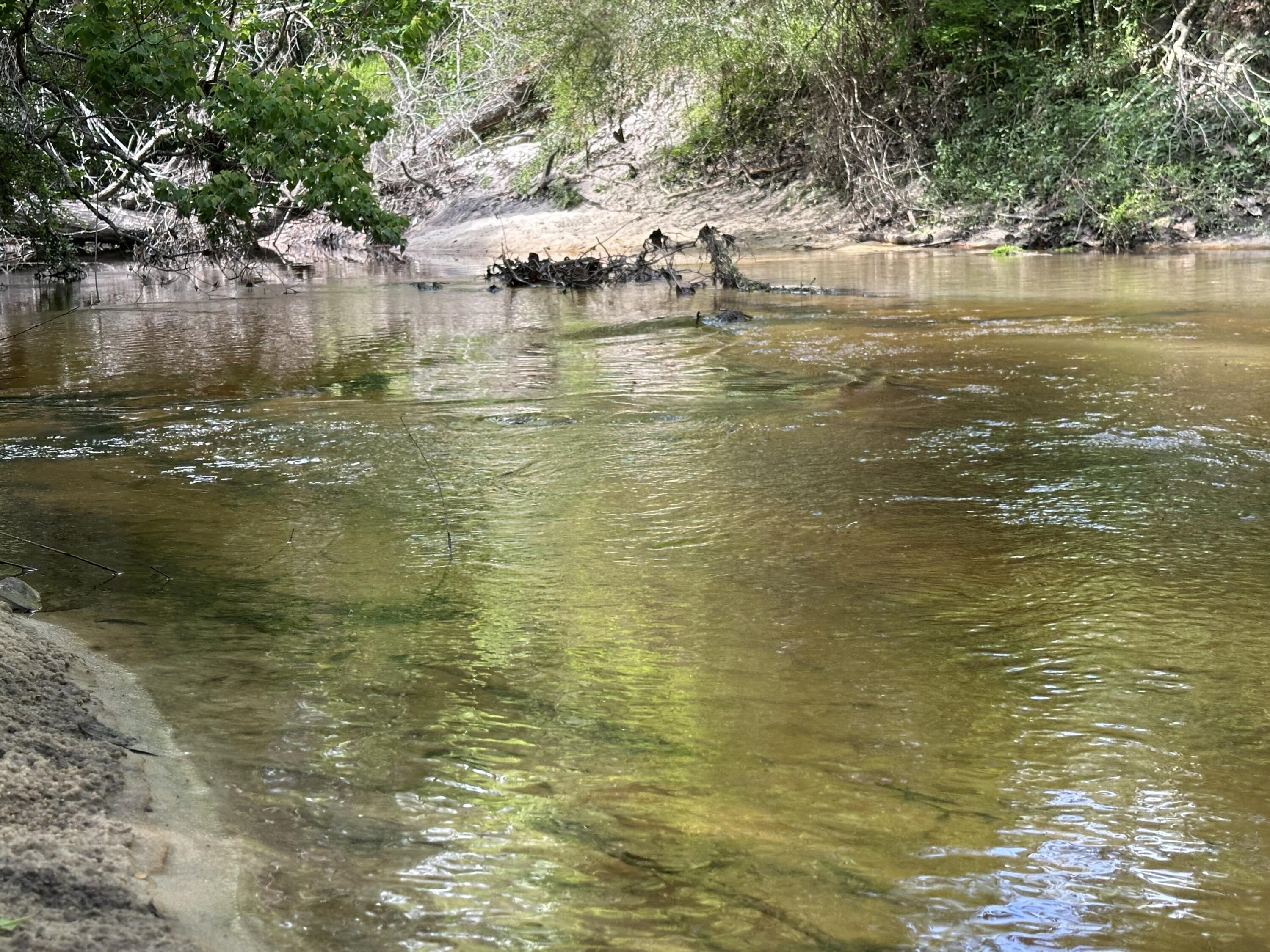 261.6-ac Millside Road Laurel Hill, FL 32567 - Photo 36 of 38