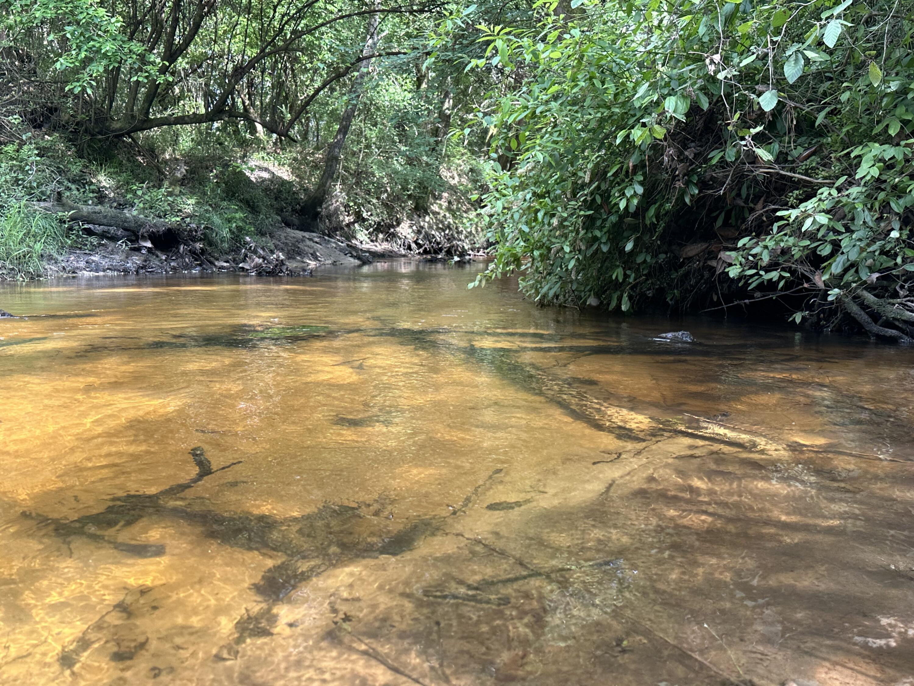 261.6-ac Millside Road Laurel Hill, FL 32567 - Photo 37 of 38 a view of a lake view