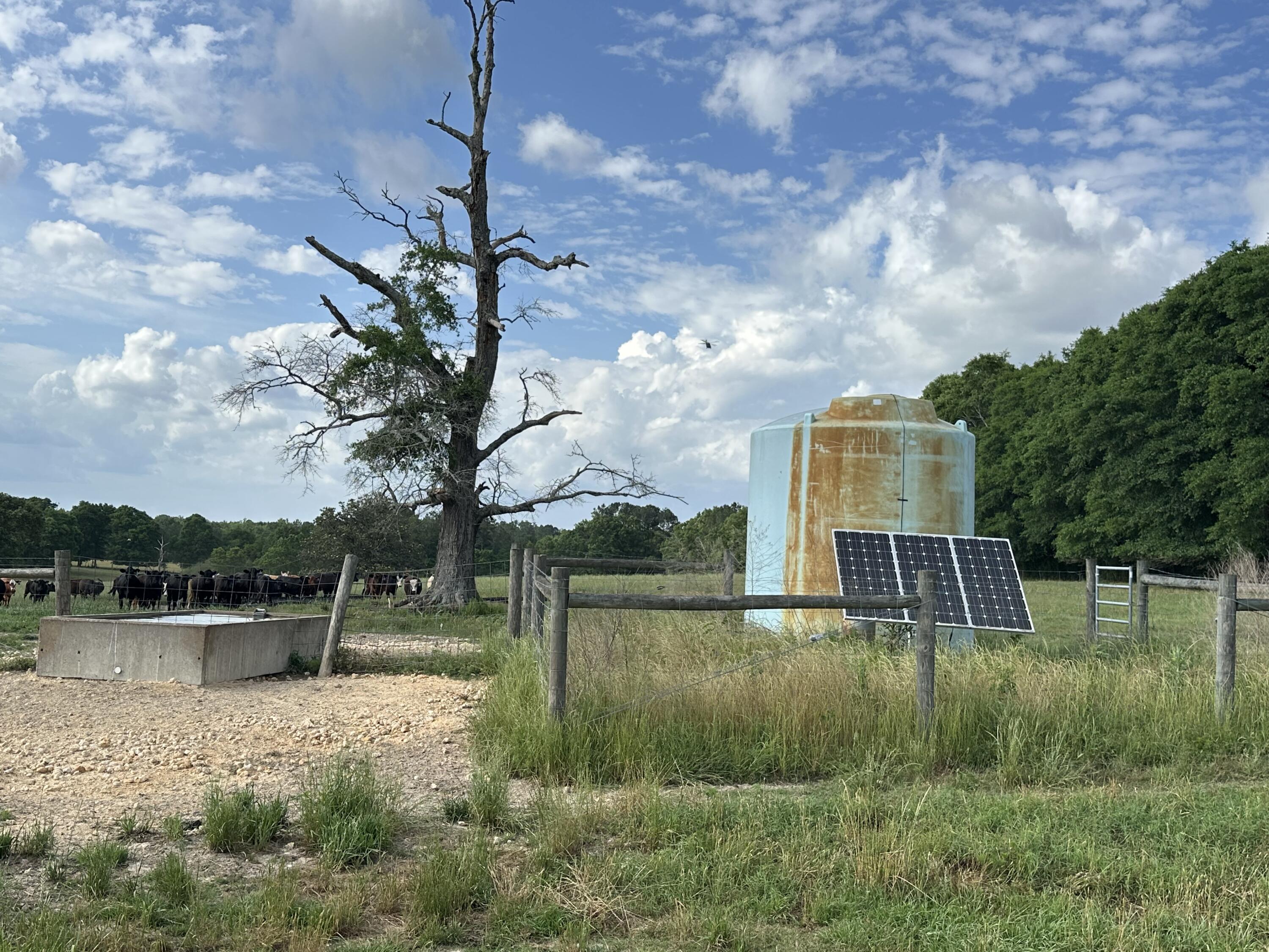 261.6-ac Millside Road Laurel Hill, FL 32567 - Photo 5 of 38 a view of a lake with a yard