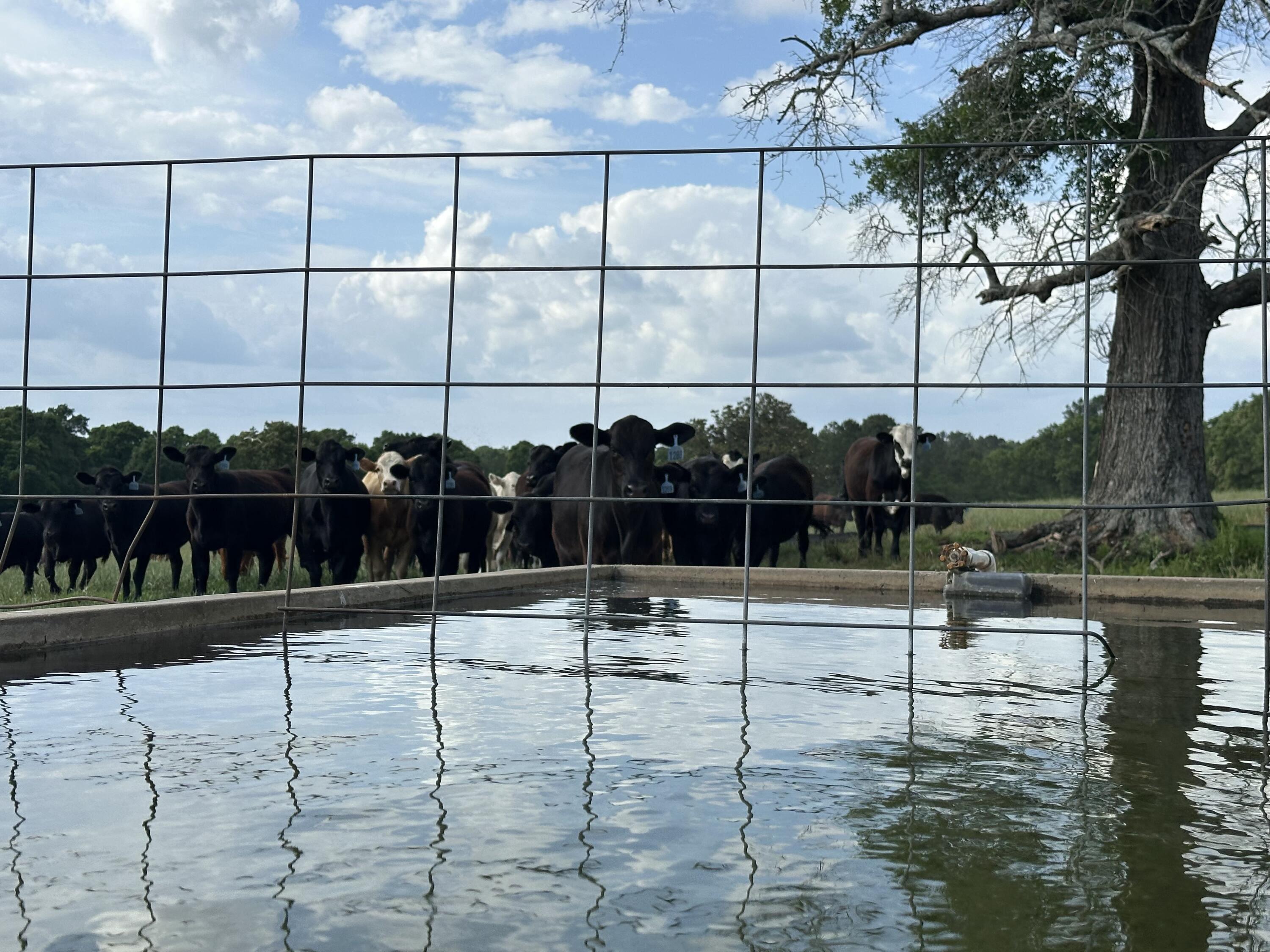 261.6-ac Millside Road Laurel Hill, FL 32567 - Photo 6 of 38 a view of a lake
