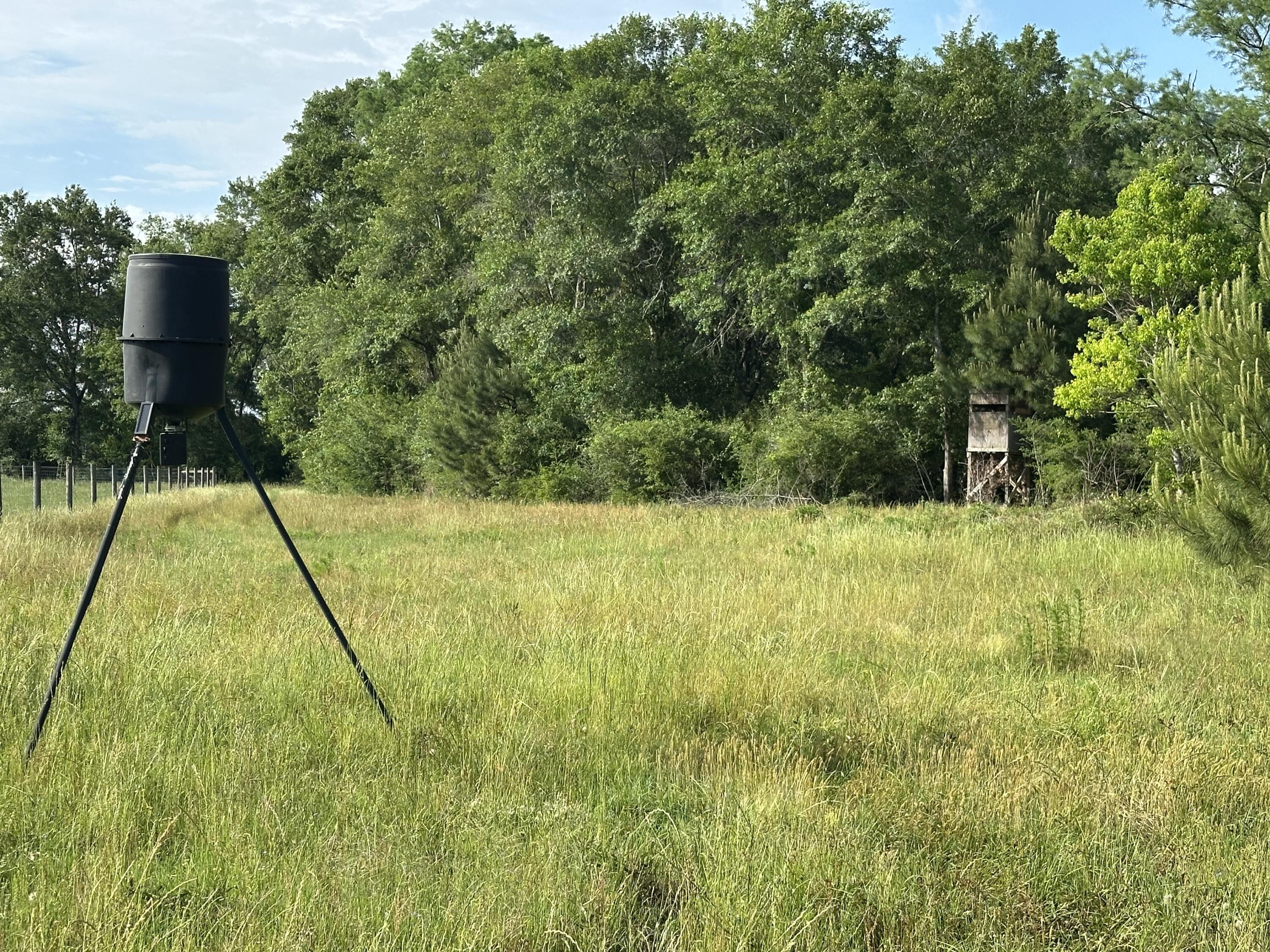 261.6-ac Millside Road Laurel Hill, FL 32567 - Photo 8 of 38 a view of swimming pool from a yard