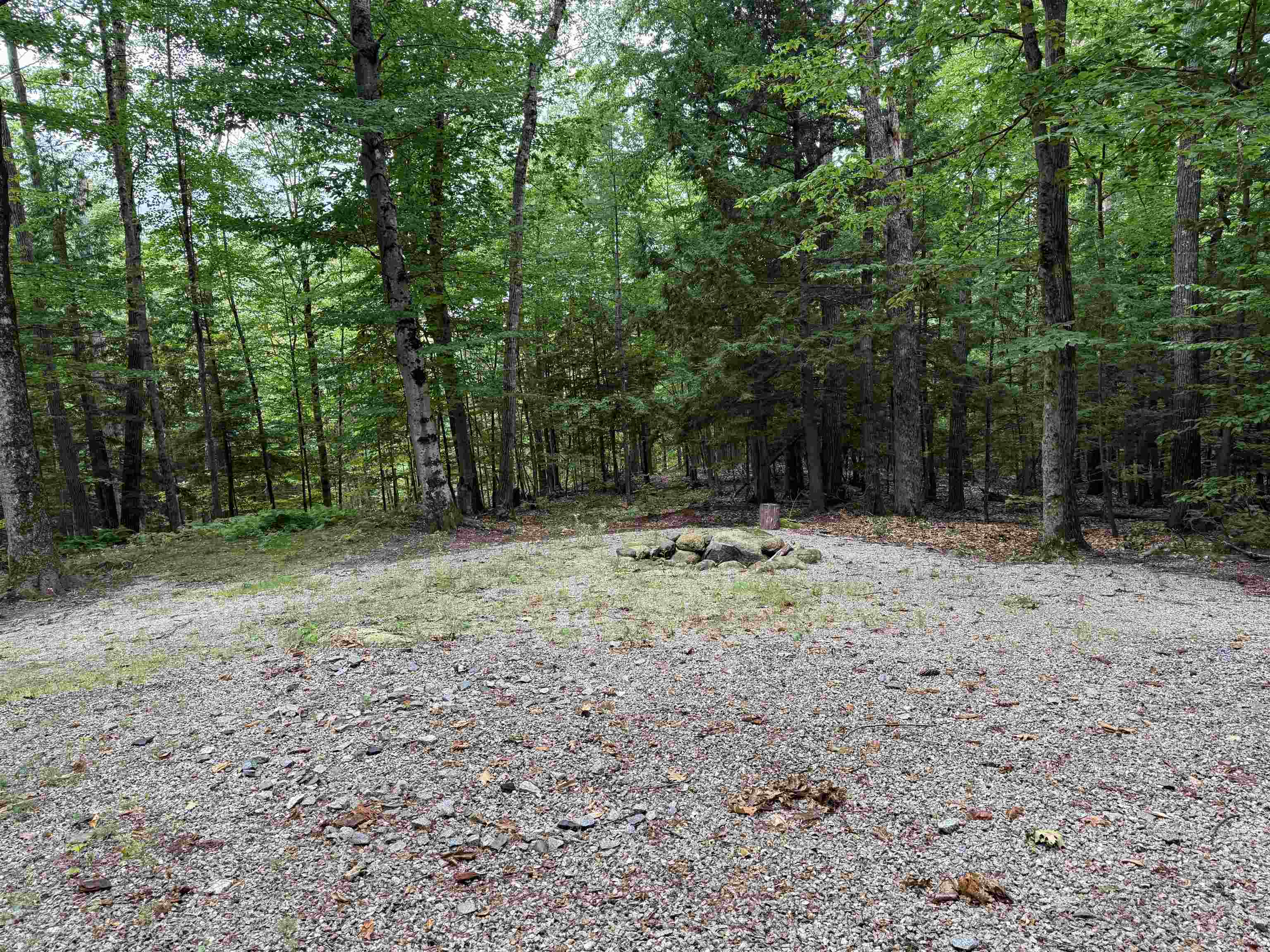 0 Conway Road, Unit 46 Madison, NH 03849 - Photo 8 of 14 Gallery Image 8