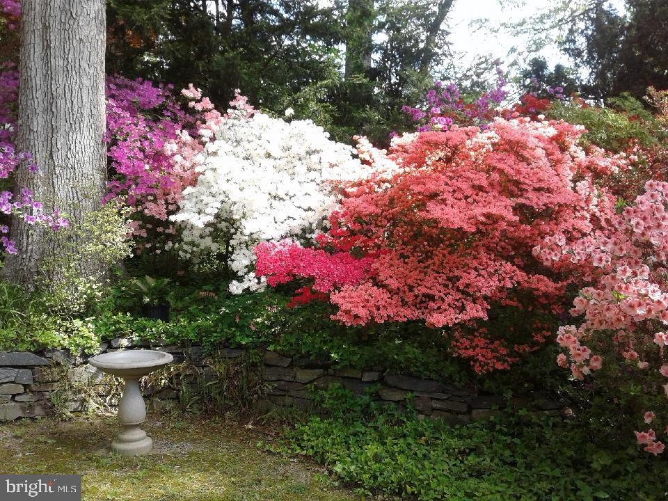 1912 Kimberly Road Silver Spring, MD 20903 - Photo 40 of 45 a view of a backyard of the house