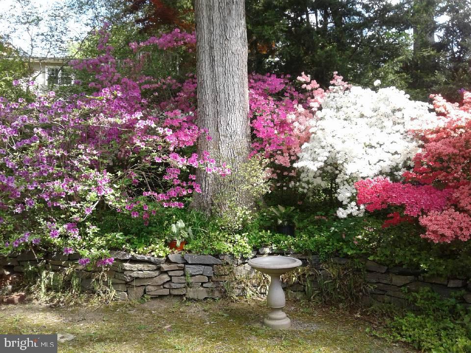 1912 Kimberly Road Silver Spring, MD 20903 - Photo 44 of 45 a view of a backyard with plants