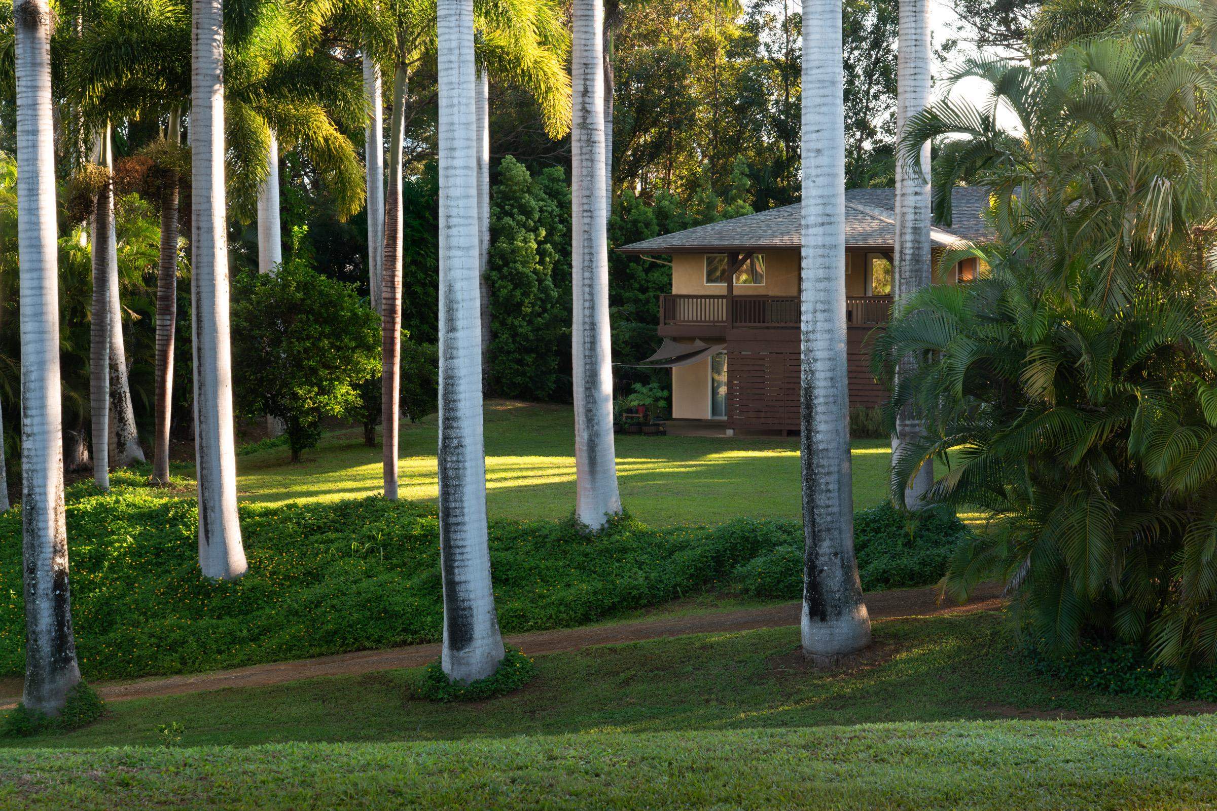 4509 Opana Place Haiku, HI 96708 - Photo 2 of 31 a view of a house with backyard