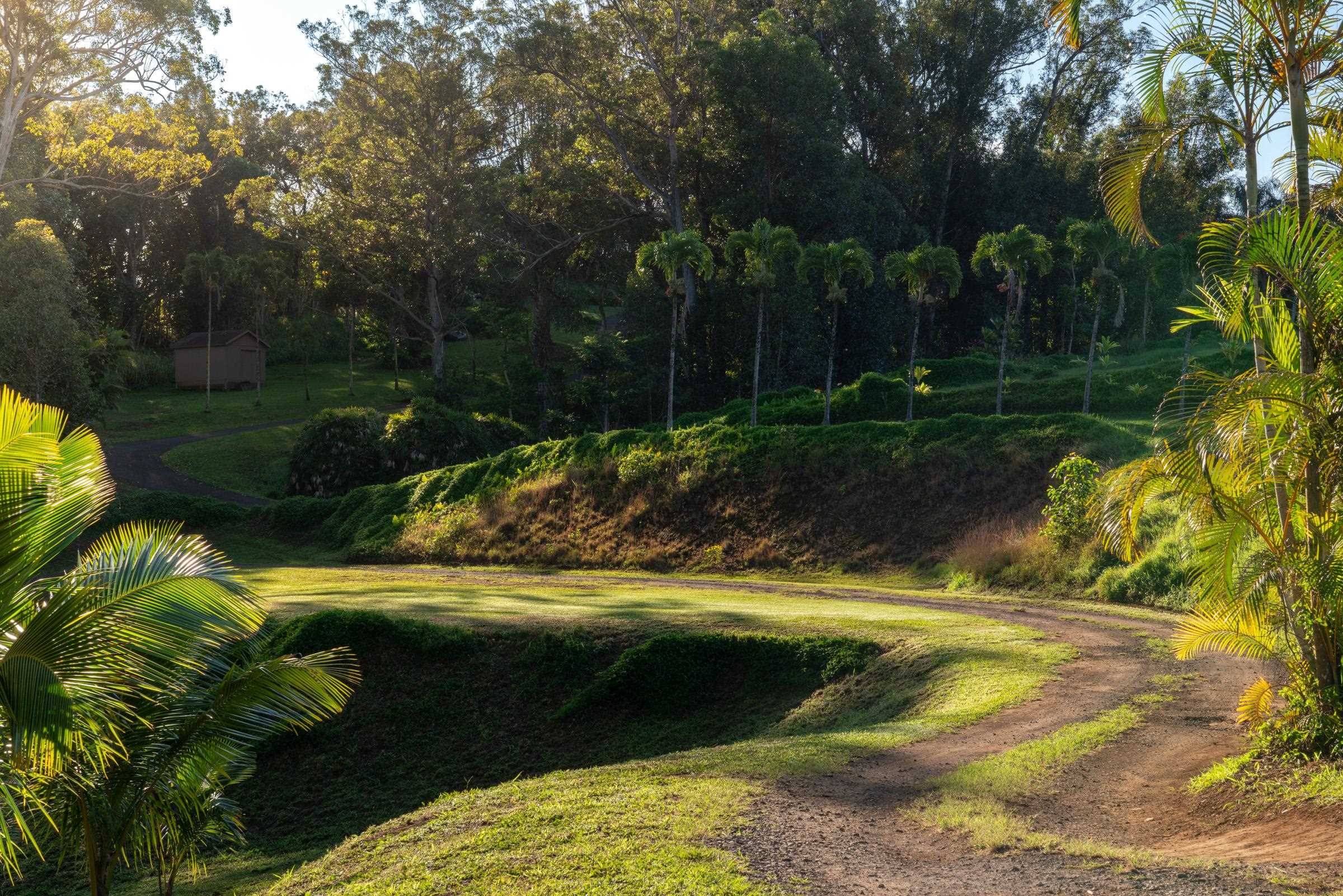4509 Opana Place Haiku, HI 96708 - Photo 3 of 31 a view of a yard with swimming pool