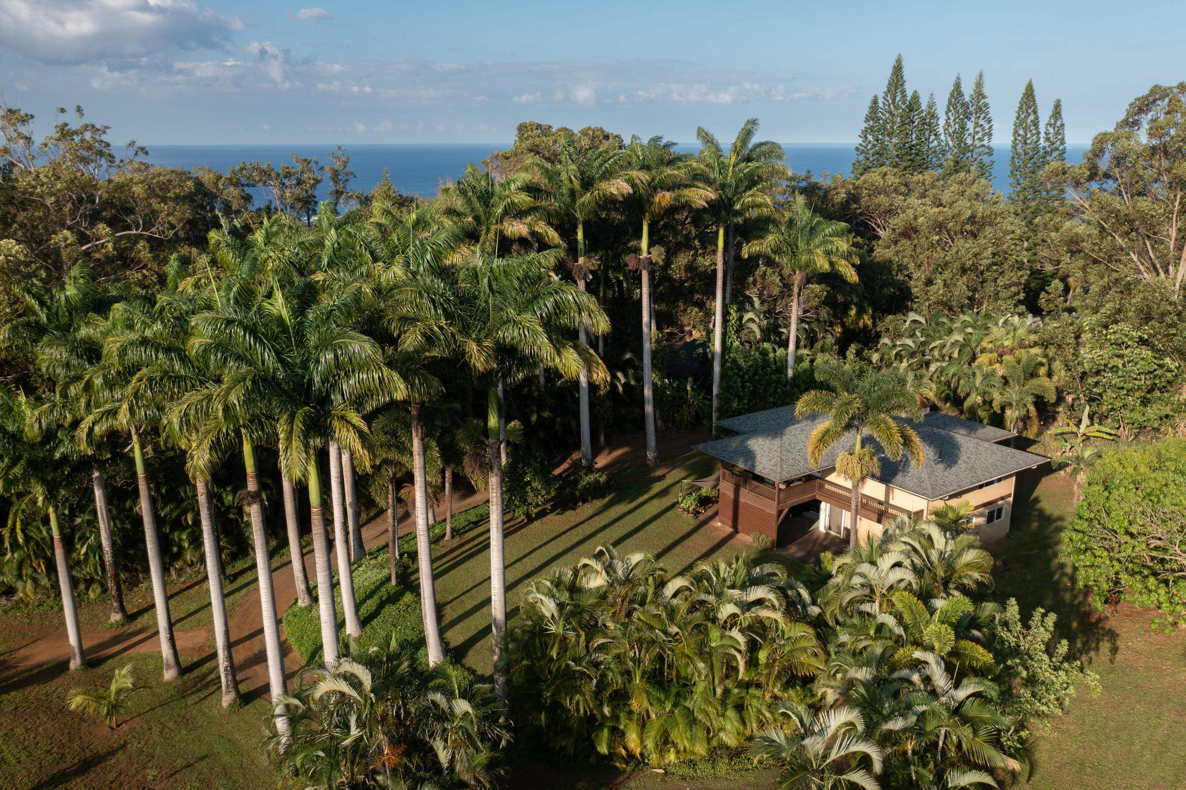 4509 Opana Place Haiku, HI 96708 - Photo 31 of 31