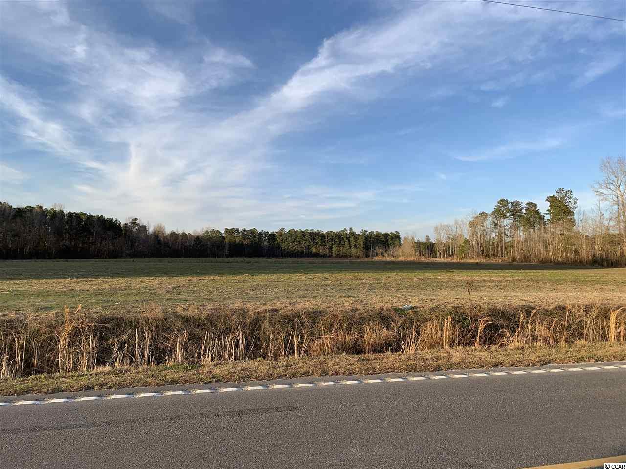 Tbd Edwards Road Green Sea, SC 29545 - Photo 1 of 3 Gallery Image 1