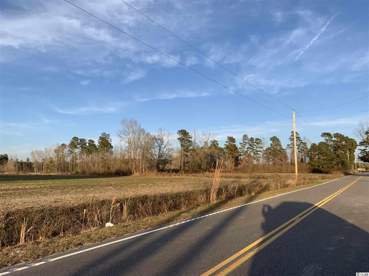 Tbd Edwards Road Green Sea, SC 29545 - Photo 3 of 3 Gallery Image 3